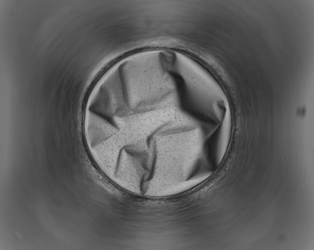 X0000088891232200707061425