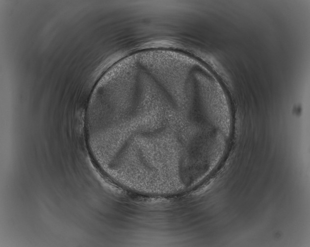 X0000088891233200707061425
