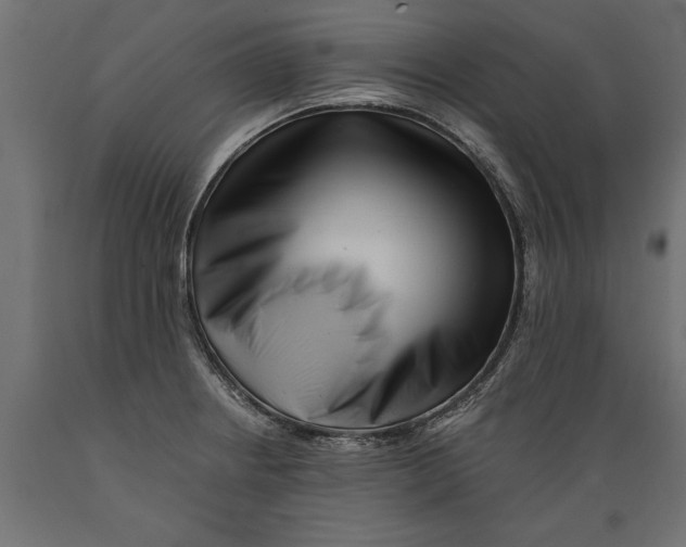 X0000088891234200707061425
