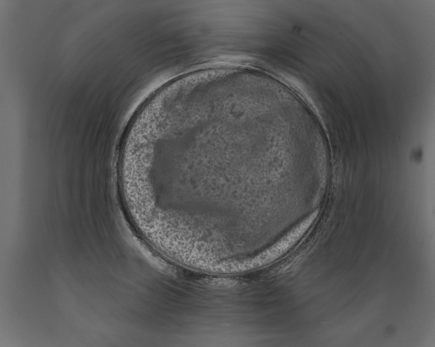 X0000088891235200707061425