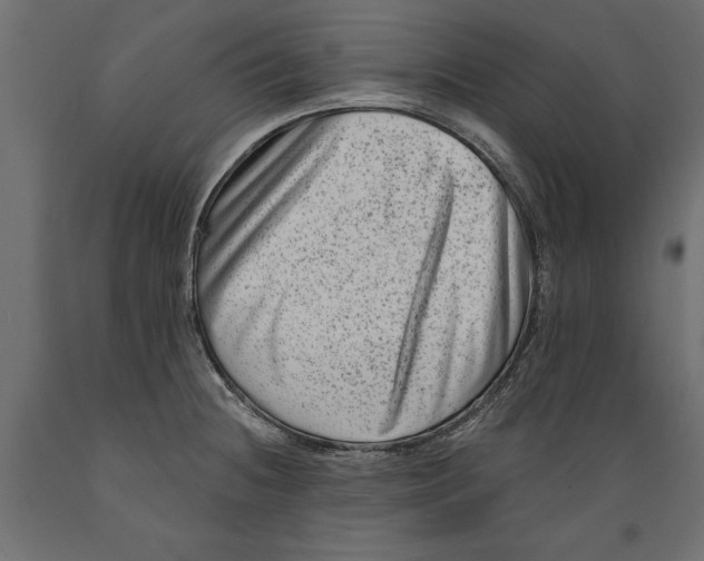 X0000088891236200707061425