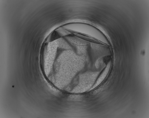 X0000088891237200707061425