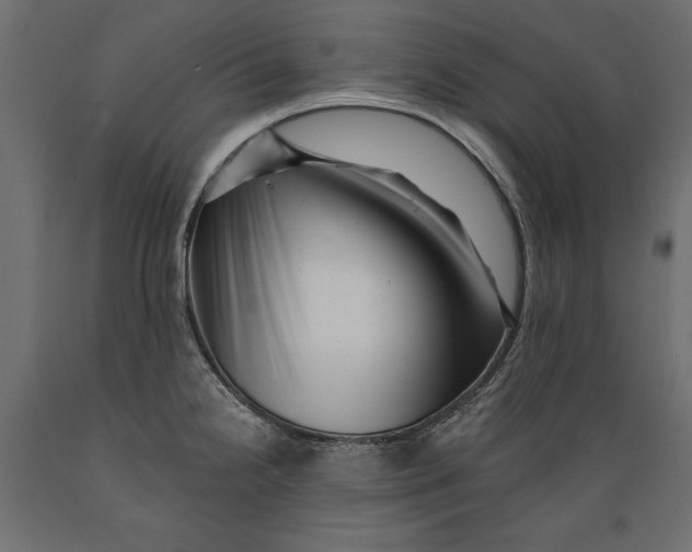 X0000088891238200707061425