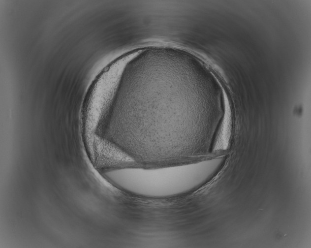 X0000088891239200707061425