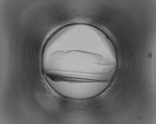 X0000088891240200707061425