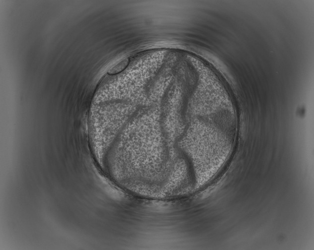 X0000088891241200707061425