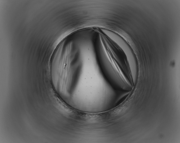 X0000088891242200707061425