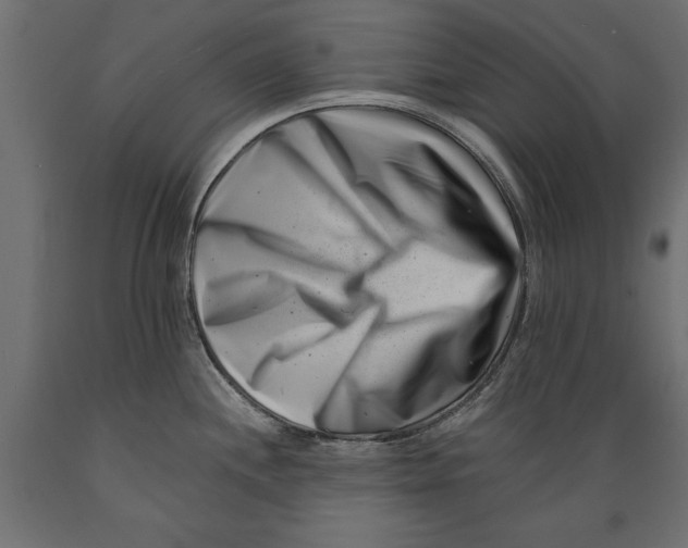 X0000088891244200707061425