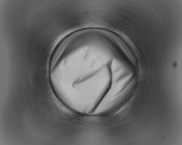 X0000088891246200707061425