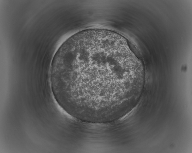 X0000088891247200707061425