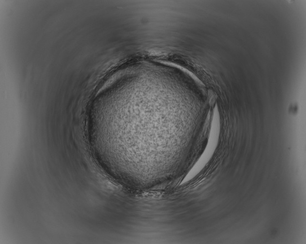 X0000088891249200707061424