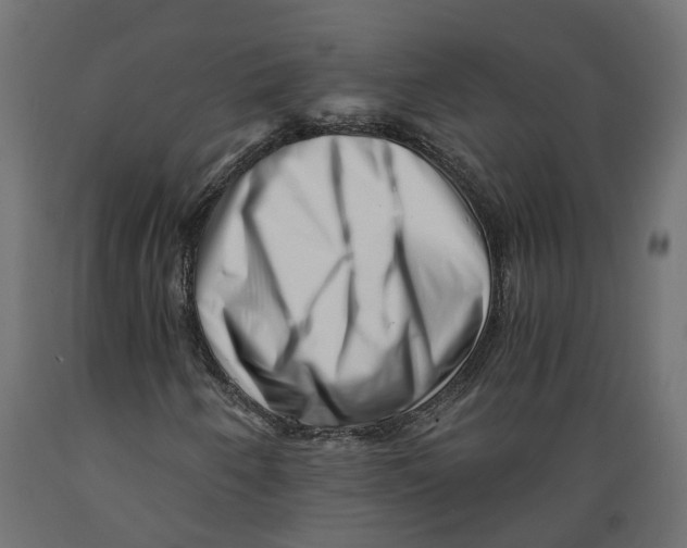 X0000088891250200707061424