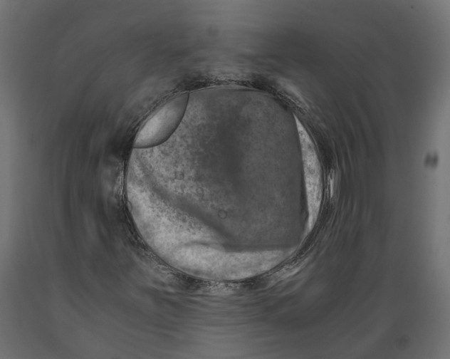 X0000088891251200707061424