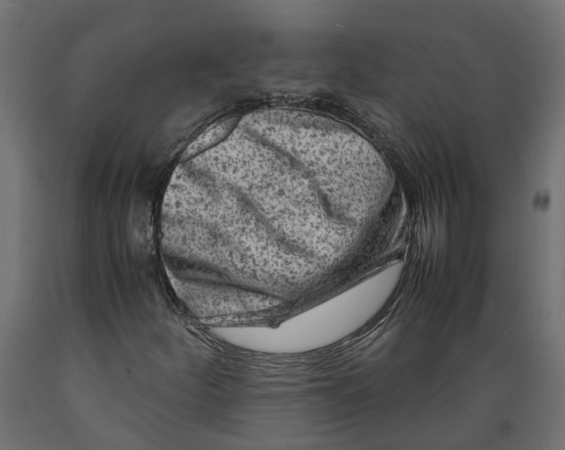 X0000088891252200707061424