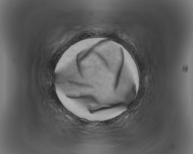 X0000088891253200707061424