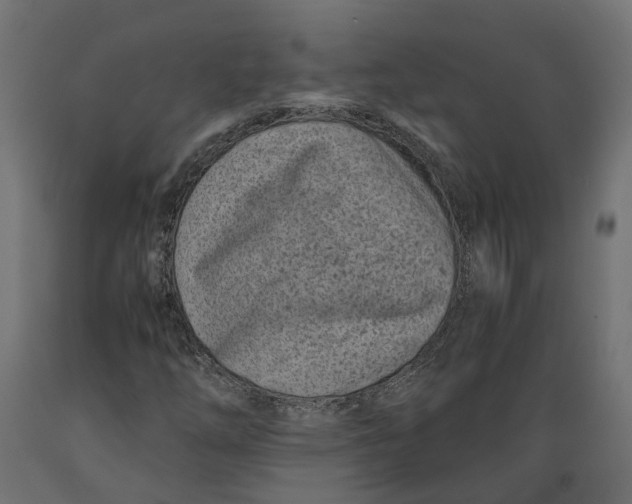 X0000088891254200707061424