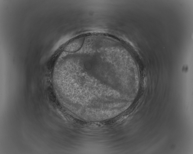X0000088891255200707061424