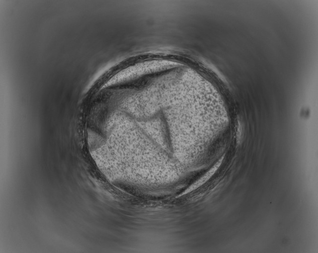 X0000088891256200707061424