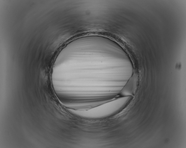 X0000088891257200707061424
