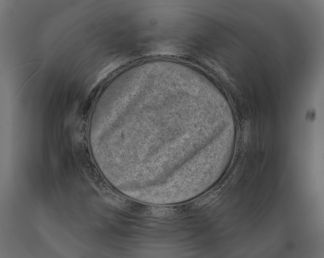 X0000088891258200707061424