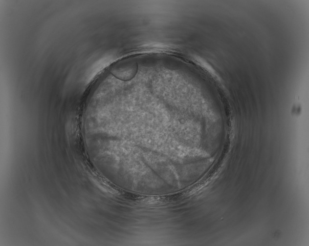 X0000088891259200707061424