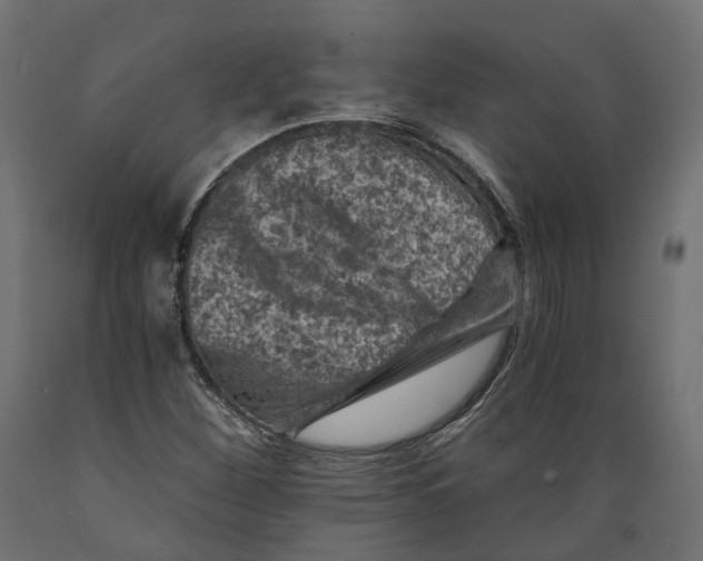 X0000088891260200707061424
