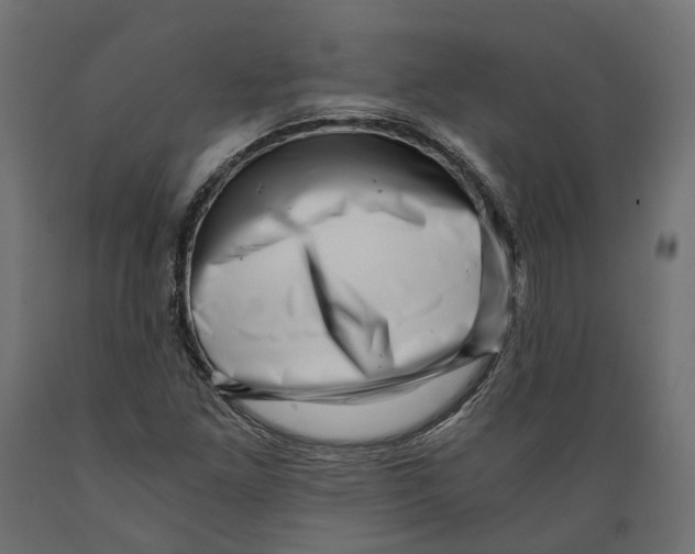 X0000088891261200707061424
