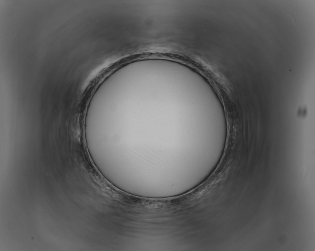 X0000088891262200707061424