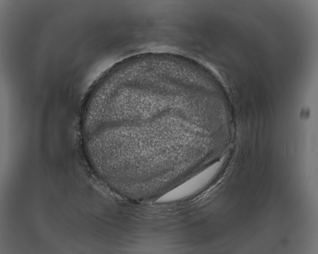 X0000088891263200707061424