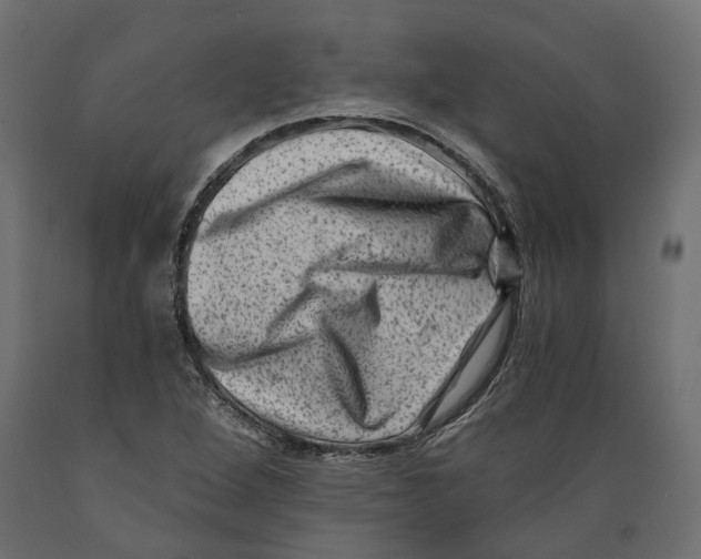 X0000088891264200707061424