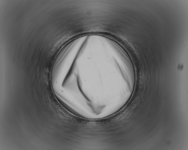 X0000088891265200707061424
