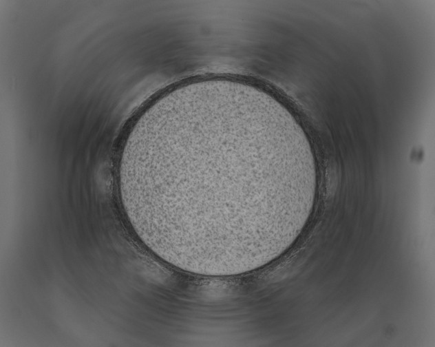 X0000088891266200707061424