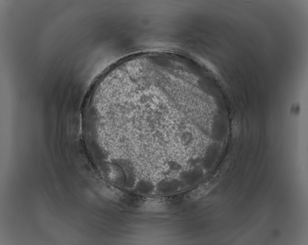 X0000088891267200707061424