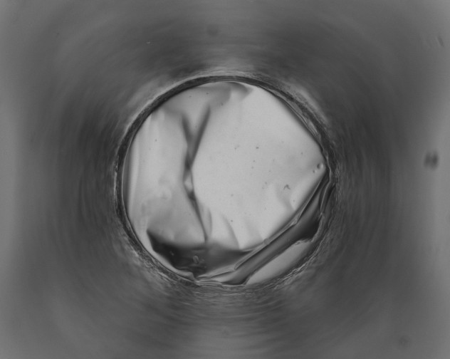 X0000088891268200707061424