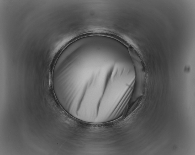 X0000088891269200707061424