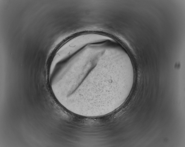 X0000088891270200707061424
