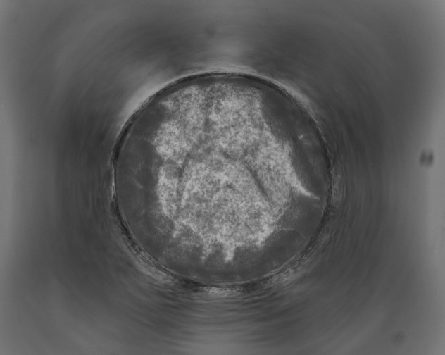 X0000088891271200707061424