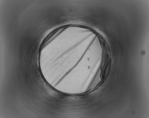 X0000088891272200707061424