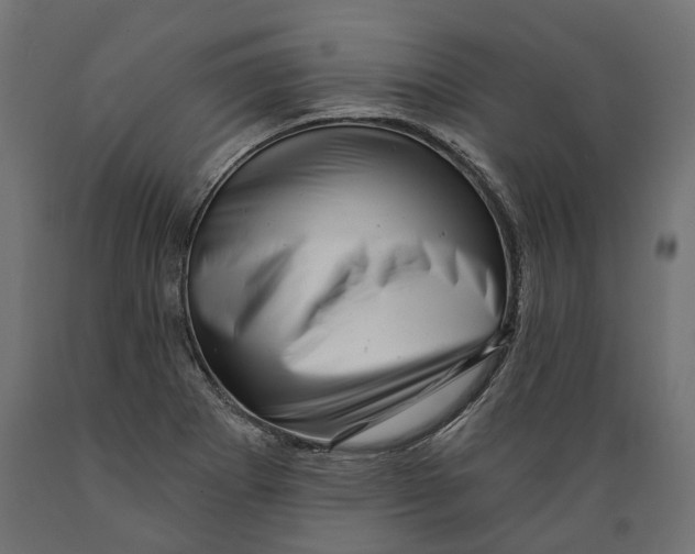 X0000088891273200707061424