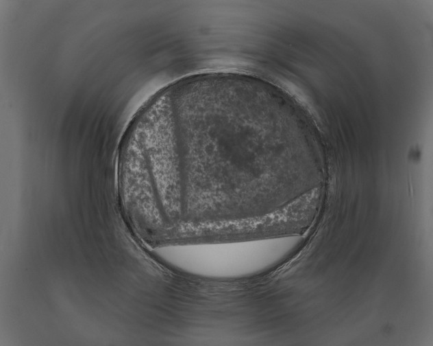 X0000088891275200707061424