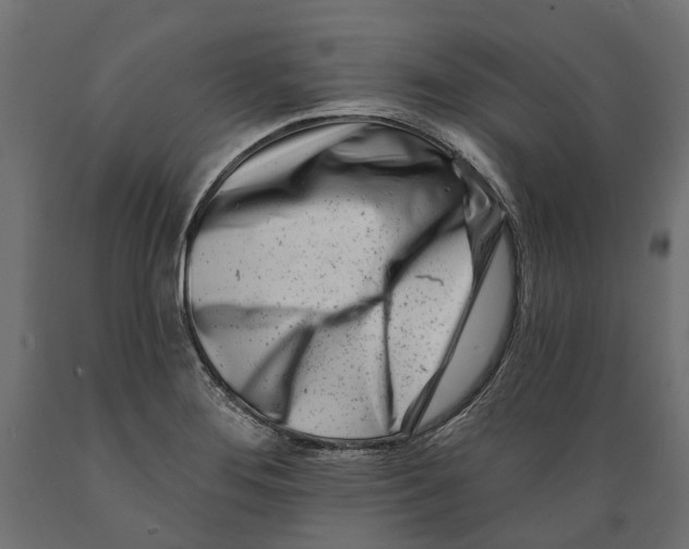 X0000088891276200707061424