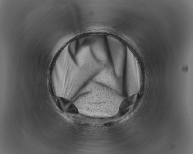 X0000088891277200707061424