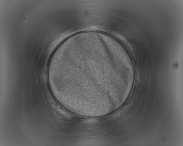 X0000088891278200707061424