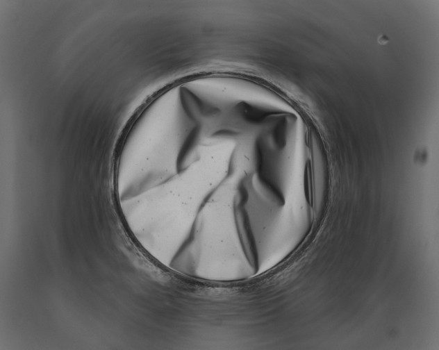 X0000088891280200707061424