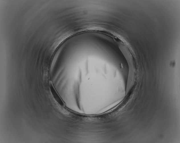 X0000088891281200707061424