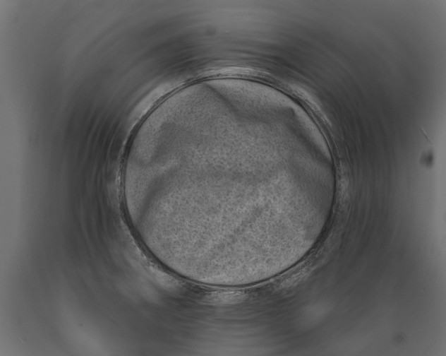 X0000088891282200707061424
