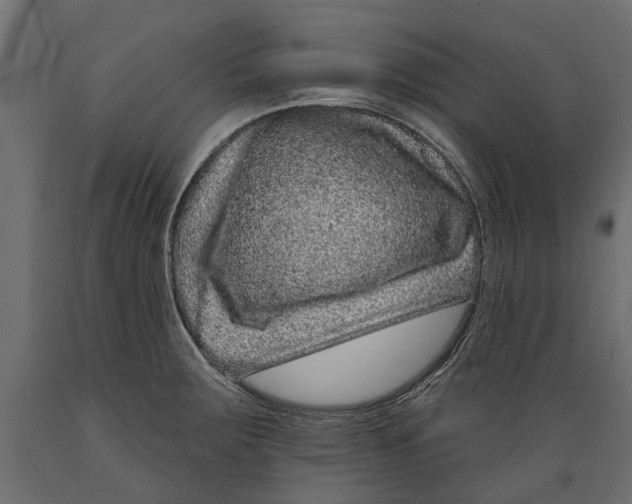 X0000088891283200707061424