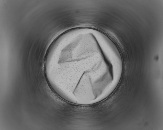 X0000088891284200707061424