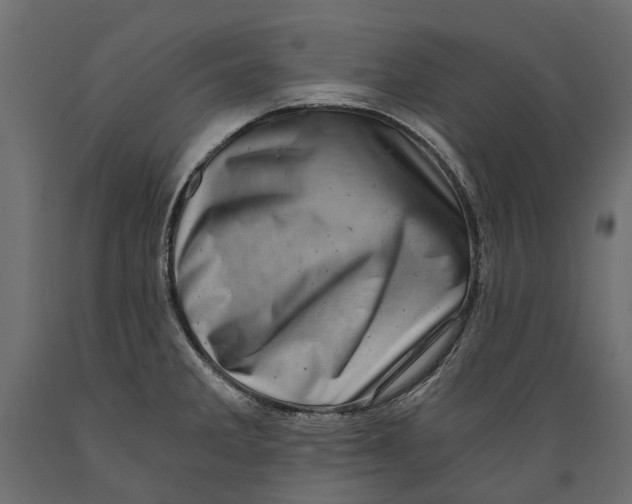 X0000088891285200707061424