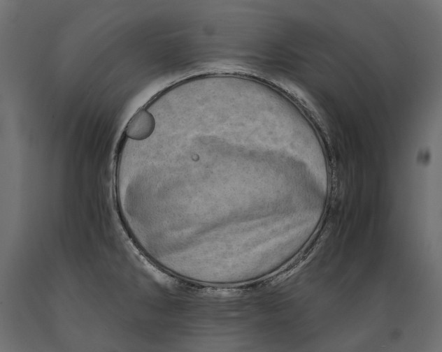 X0000088891286200707061424